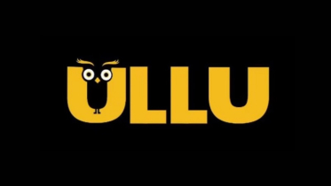 ভারতে ২৫টি পর্ন ওয়েব সিরিজের অ্যাপ বন্ধ