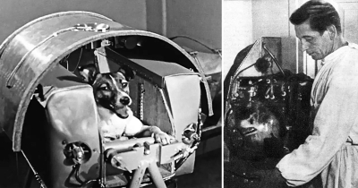 মহাকাশচারী কুদরিয়াভকার শেষ পরিণতি কি হয়েছিলো?