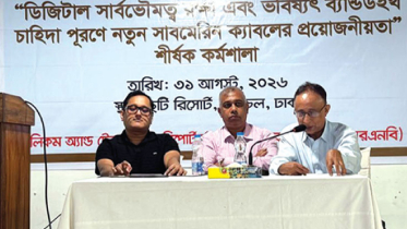 এক মন্ত্রণালয়ের অনাগ্রহে সাবমেরিন ক্যাবল প্রতিস্থাপনে জটিলতা